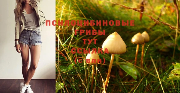 дурь Алзамай