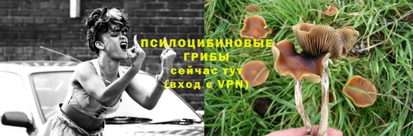 дурь Алзамай