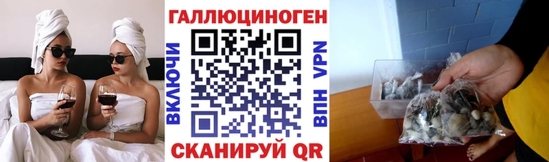 цены Борзя Псилоцибиновые грибы ЛСД